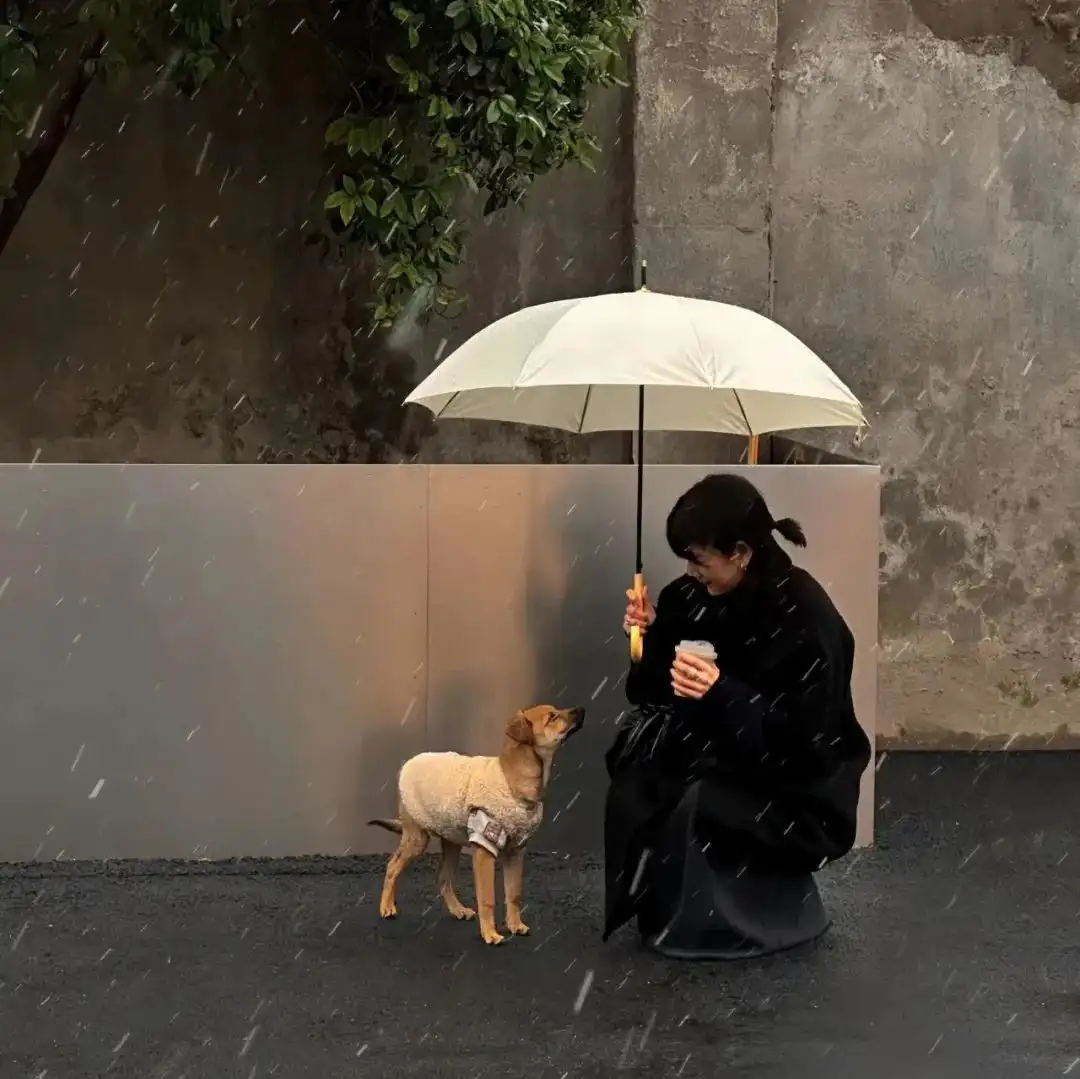 头像｜一眼惊艳的𝙒𝙚𝘾𝙝𝙖𝙩头像