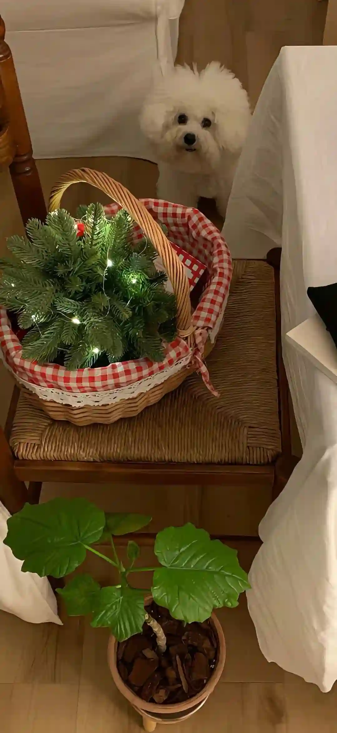 壁纸 | 不烂大街的高级壁纸