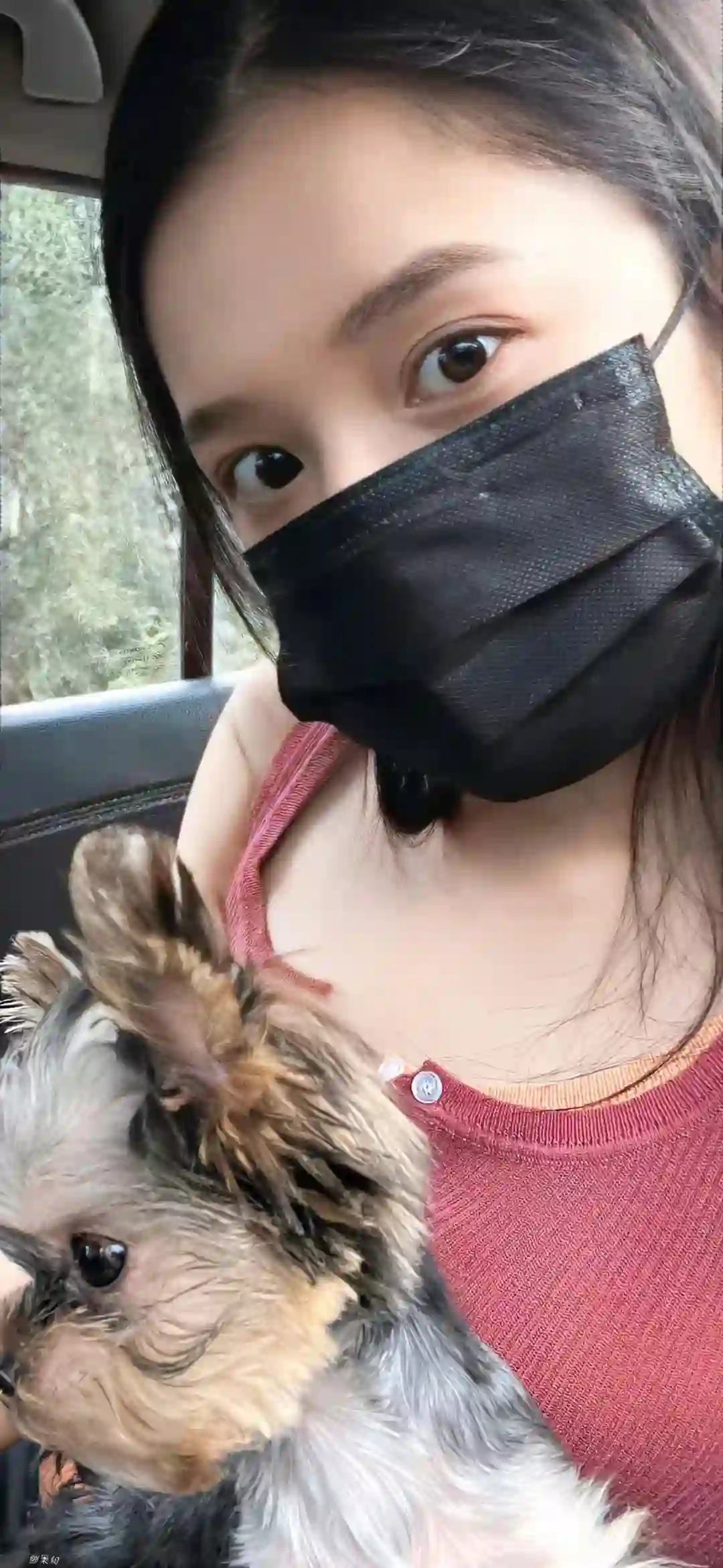 壁纸 | 不烂大街的高级壁纸