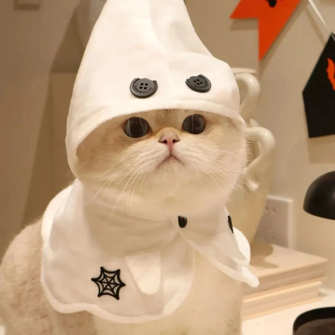头像 | 不开心就换个头像吧