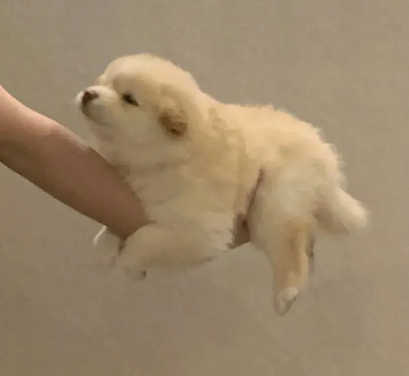 头像｜好看的头像又增加了