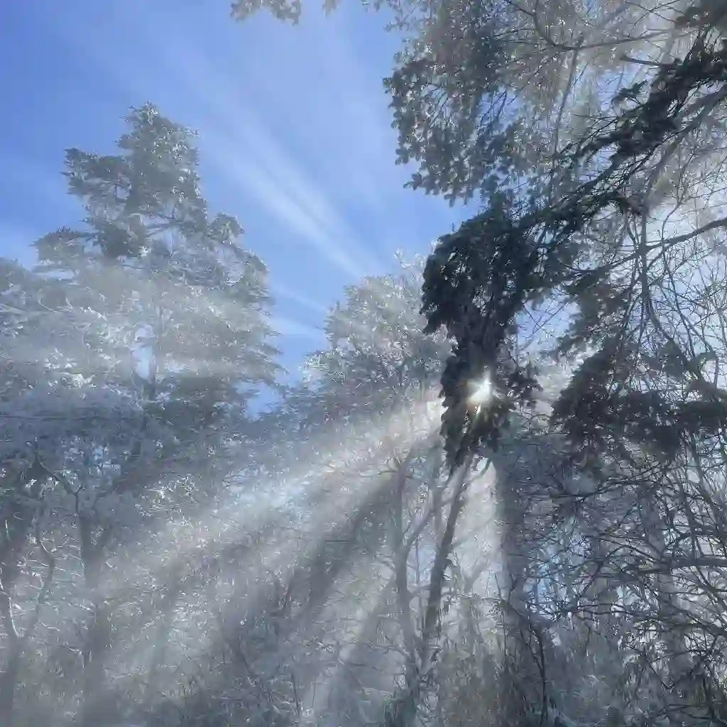 背景图 | 朋友圈背景图