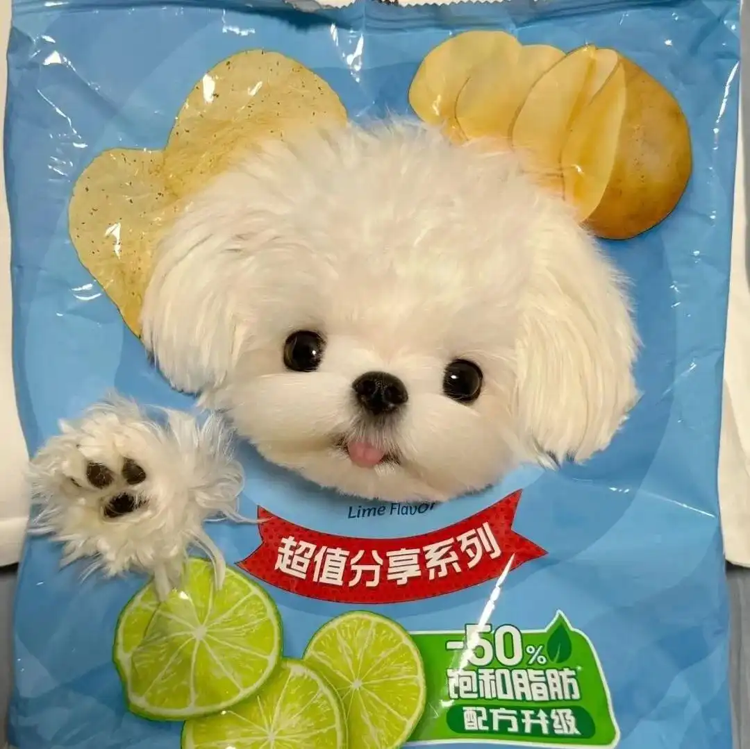 头像｜一期可爱抽象头像