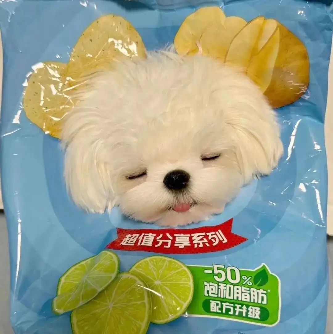 头像｜一期可爱抽象头像