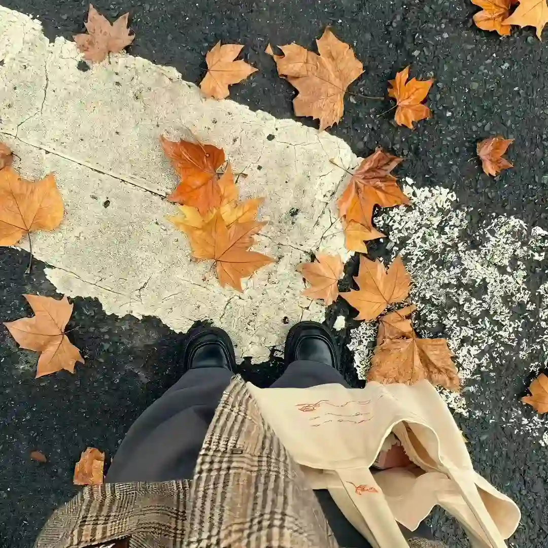 背景图 | 小众氛围感背景图