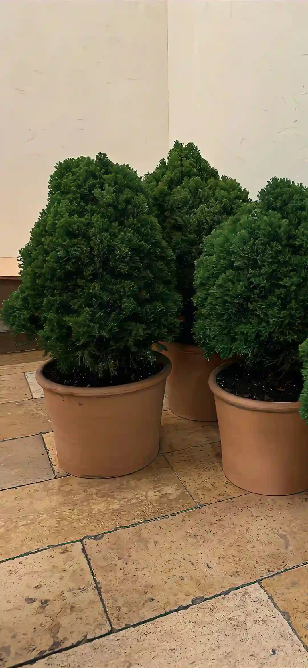 壁纸 | 最近收藏的壁纸