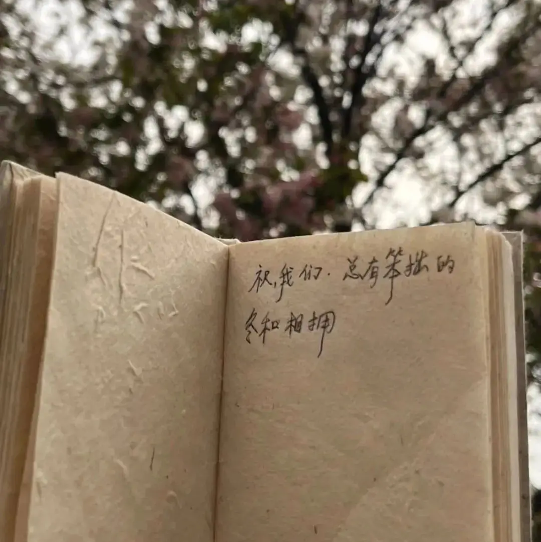 背景图 | 喜欢的朋友圈搭配