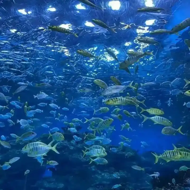 背景图 | 值得长期不换的背景图