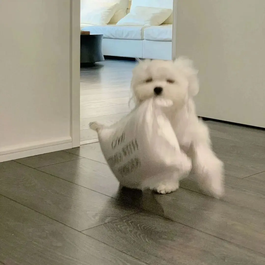 背景图 | 值得长期不换的背景图