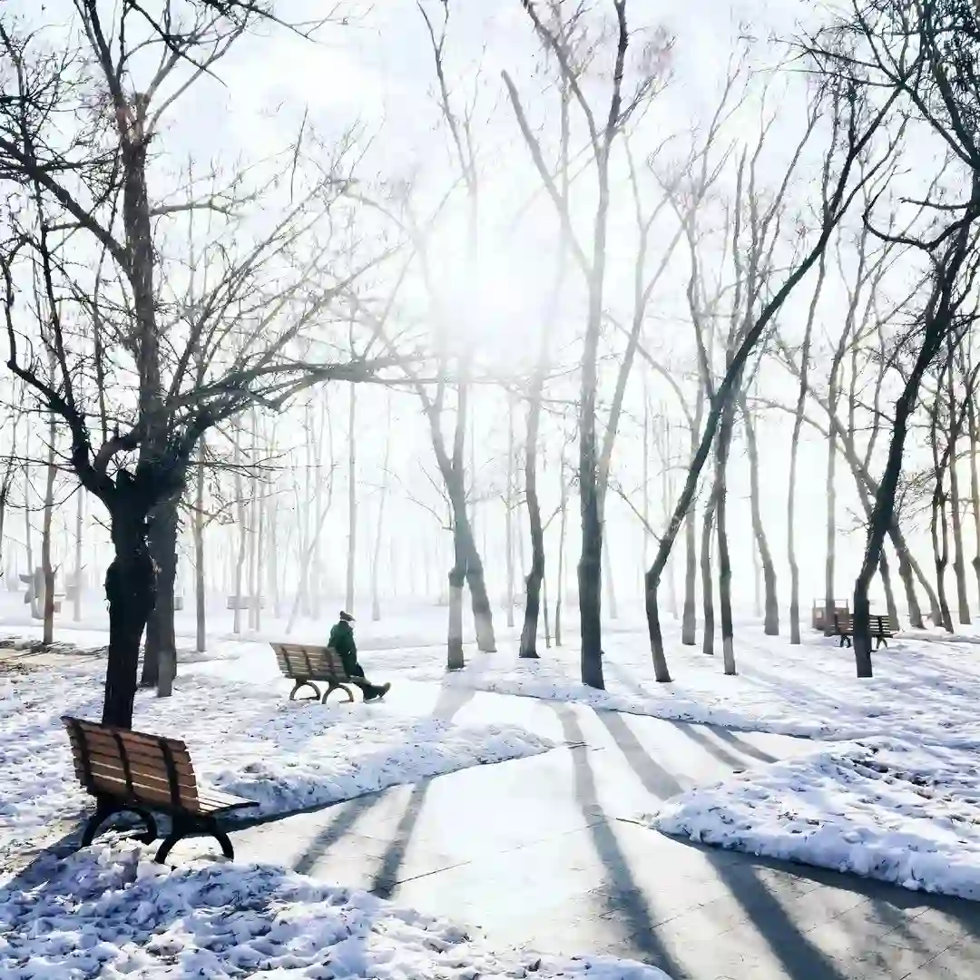 背景图 | 超有感觉小众背景图
