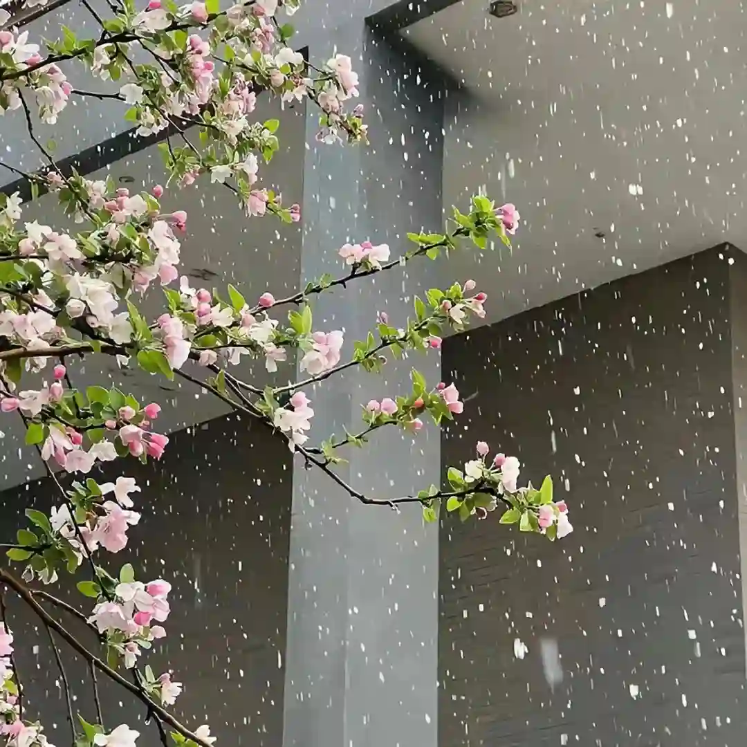 背景图 | 超有感觉小众背景图