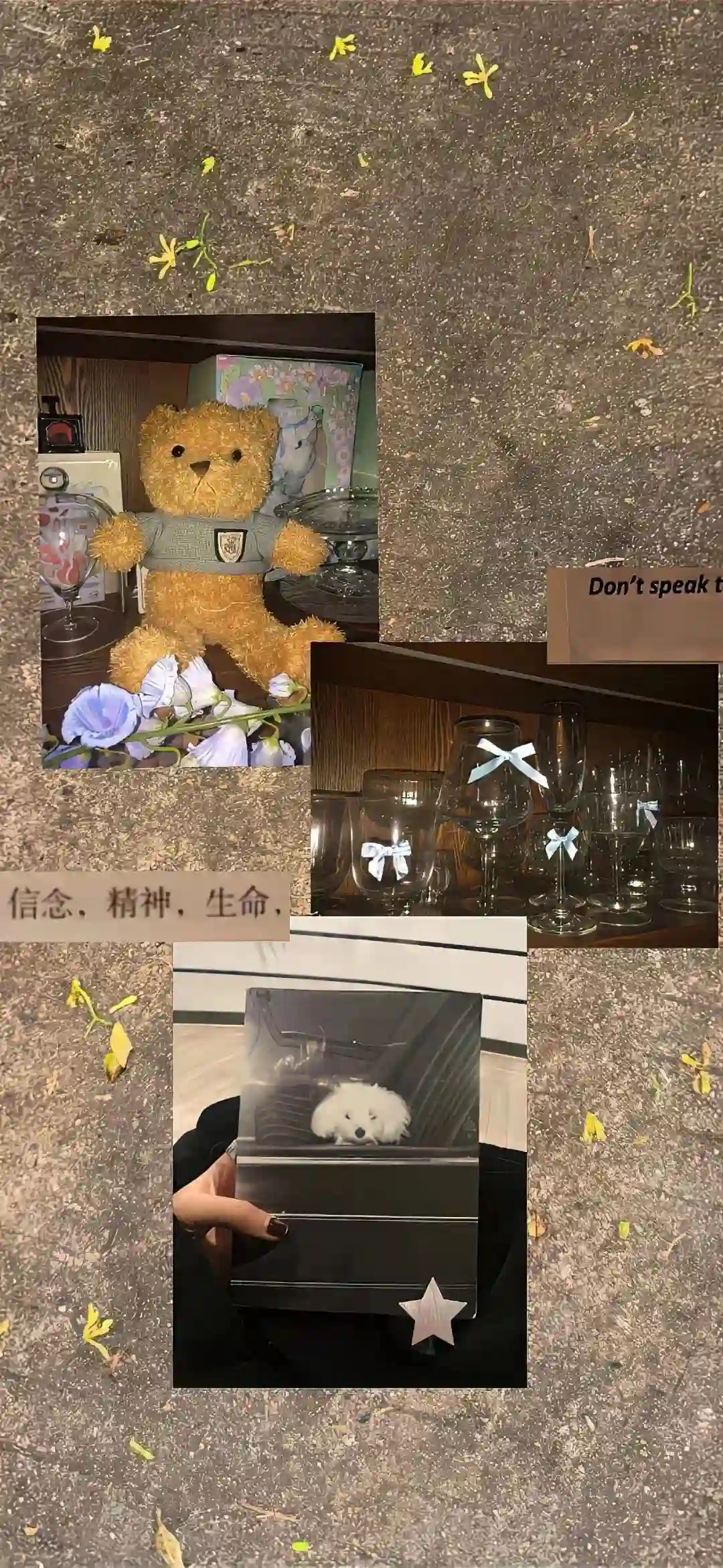壁纸 | 好看的壁纸存一下