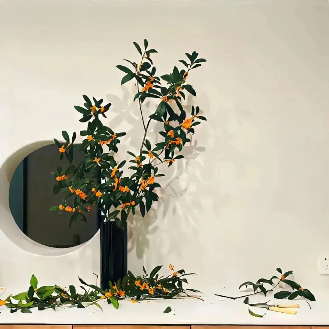 背景图 | 朋友圈背景图分享