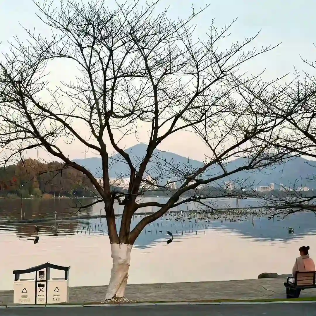 背景图 | 朋友圈背景图分享