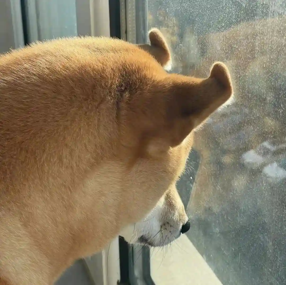头像｜高能转运磁场好运头像 ​​​