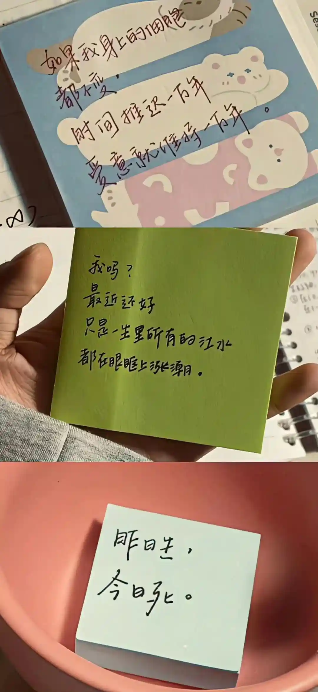 壁纸 | 好多好看的手机壁纸​