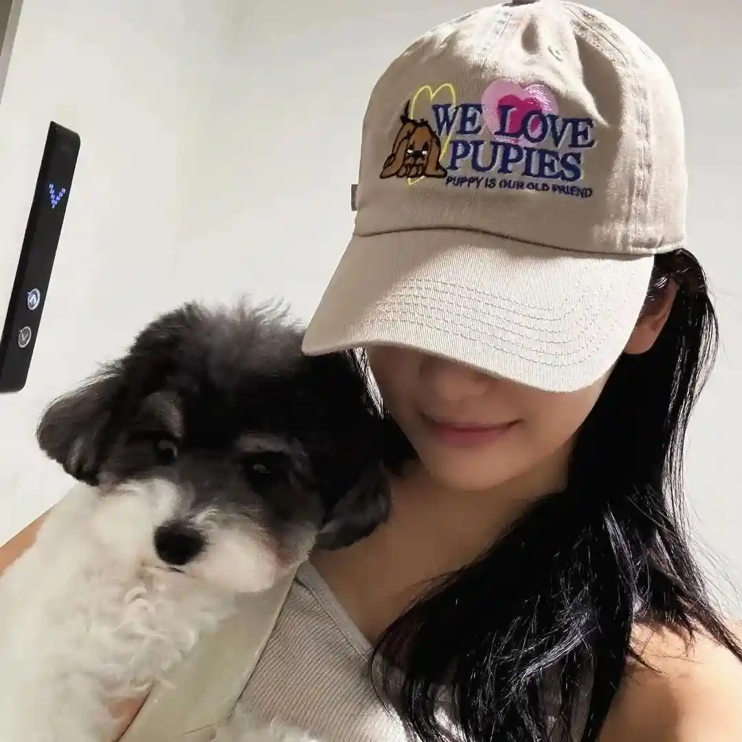 头像 | 谁在用这么好看的头像啊