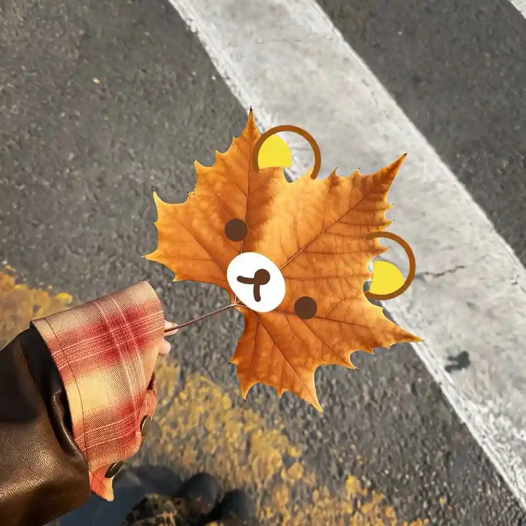 背景图 | 喜欢的朋友圈搭配