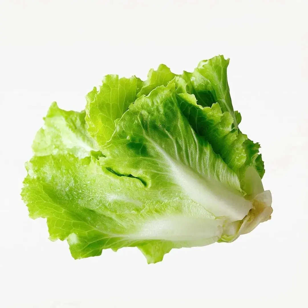 头像｜真的超爱换头像