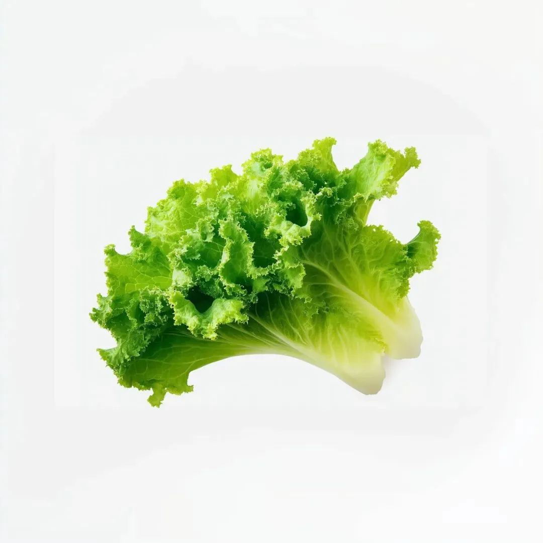 头像｜真的超爱换头像