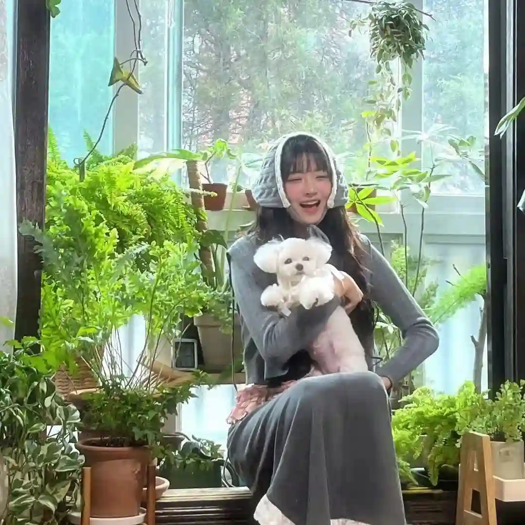 头像｜12月微信头像 拿走不谢