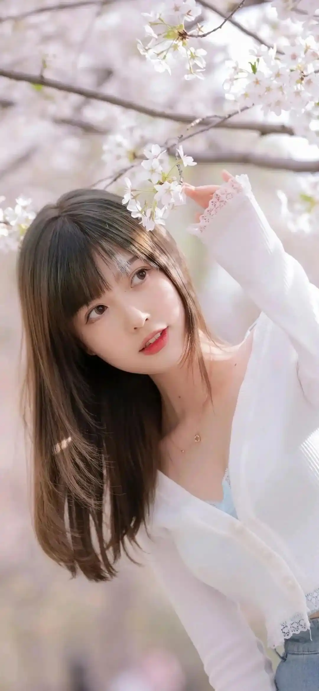 壁纸 | 手机高清美女壁纸