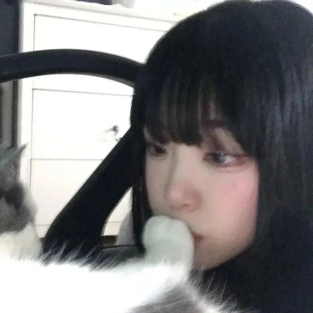 头像｜搞怪可爱头像存一下