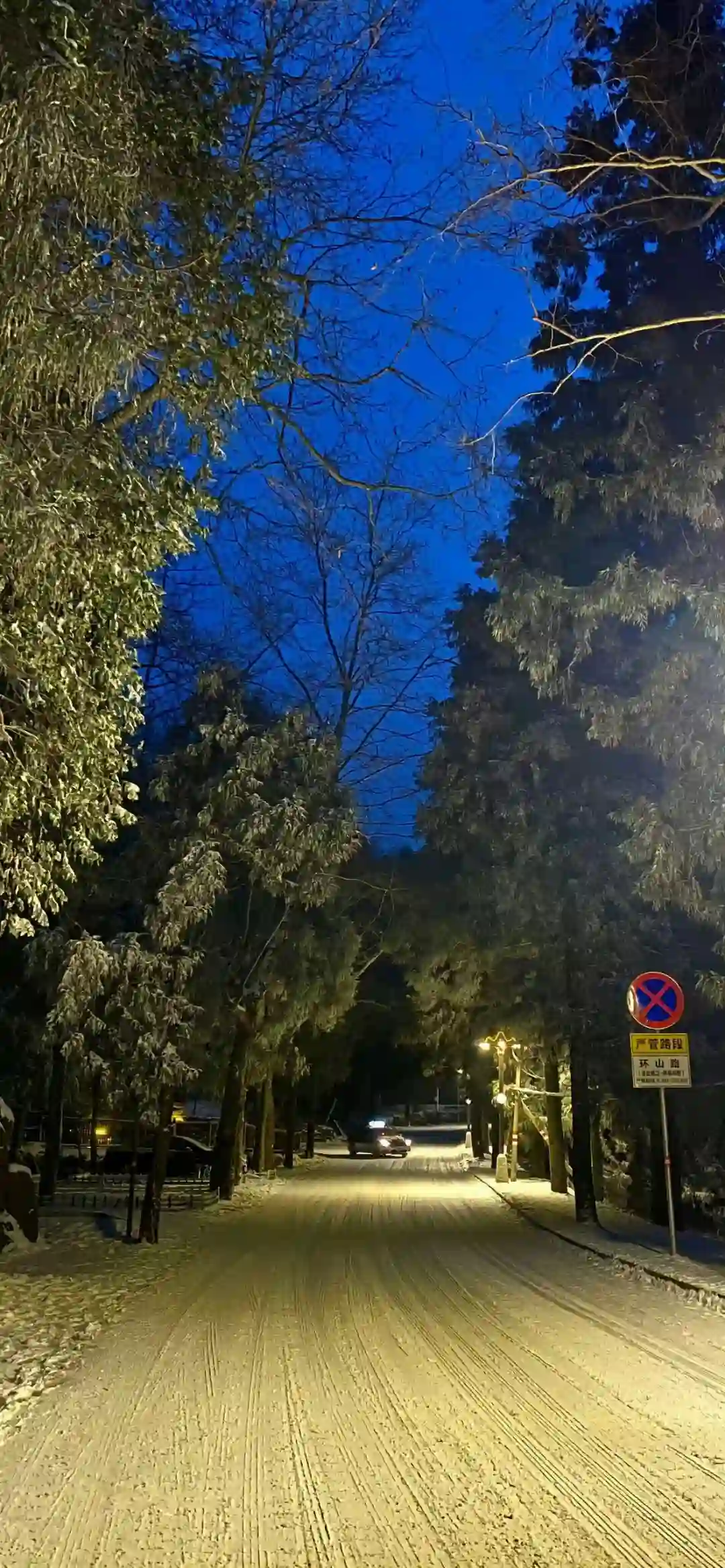 壁纸 |选一张做你的新壁纸叭