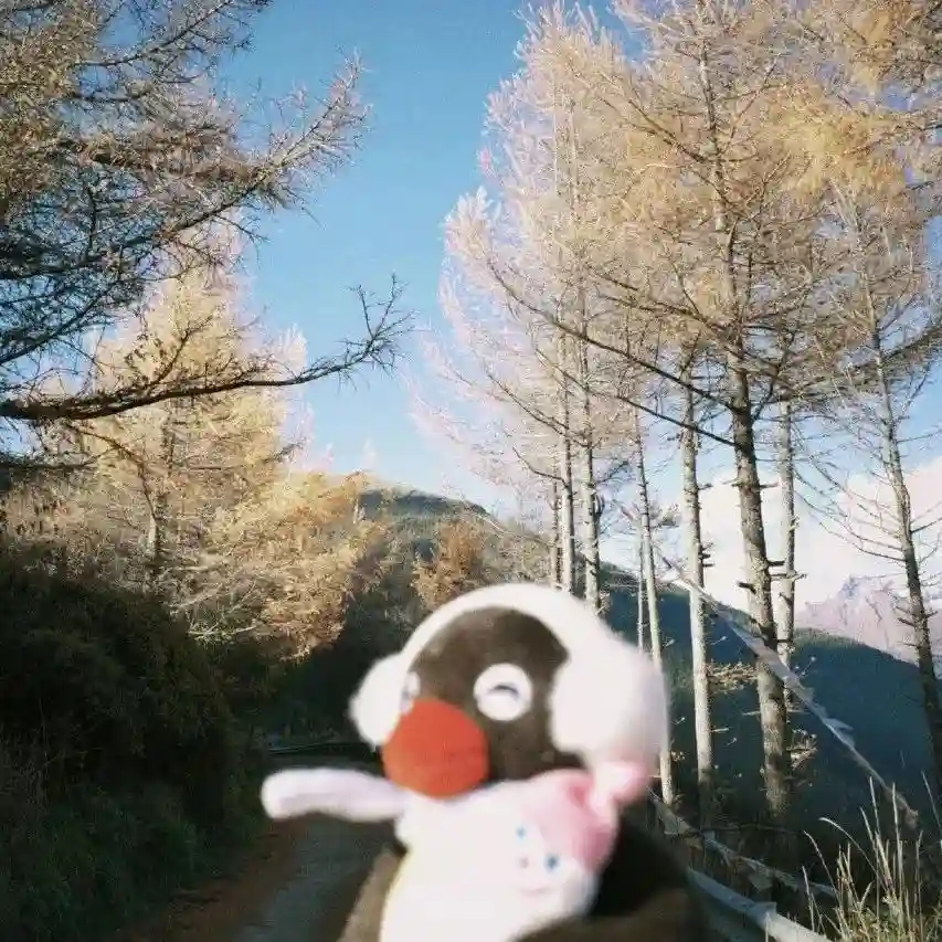头像｜别错过好看的头像啦