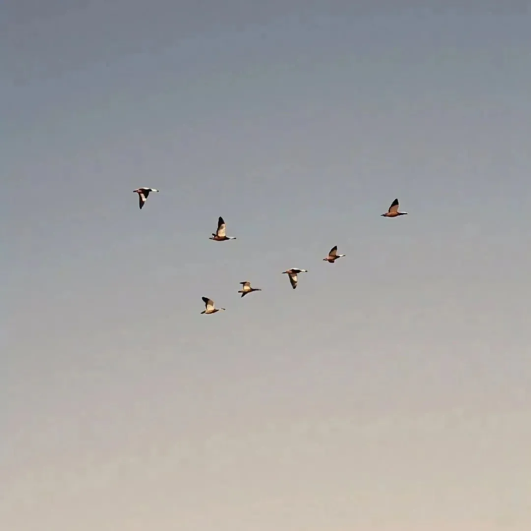 头像 | 𝗪𝗲𝗰𝗵𝗮𝘁头像背景图搭配