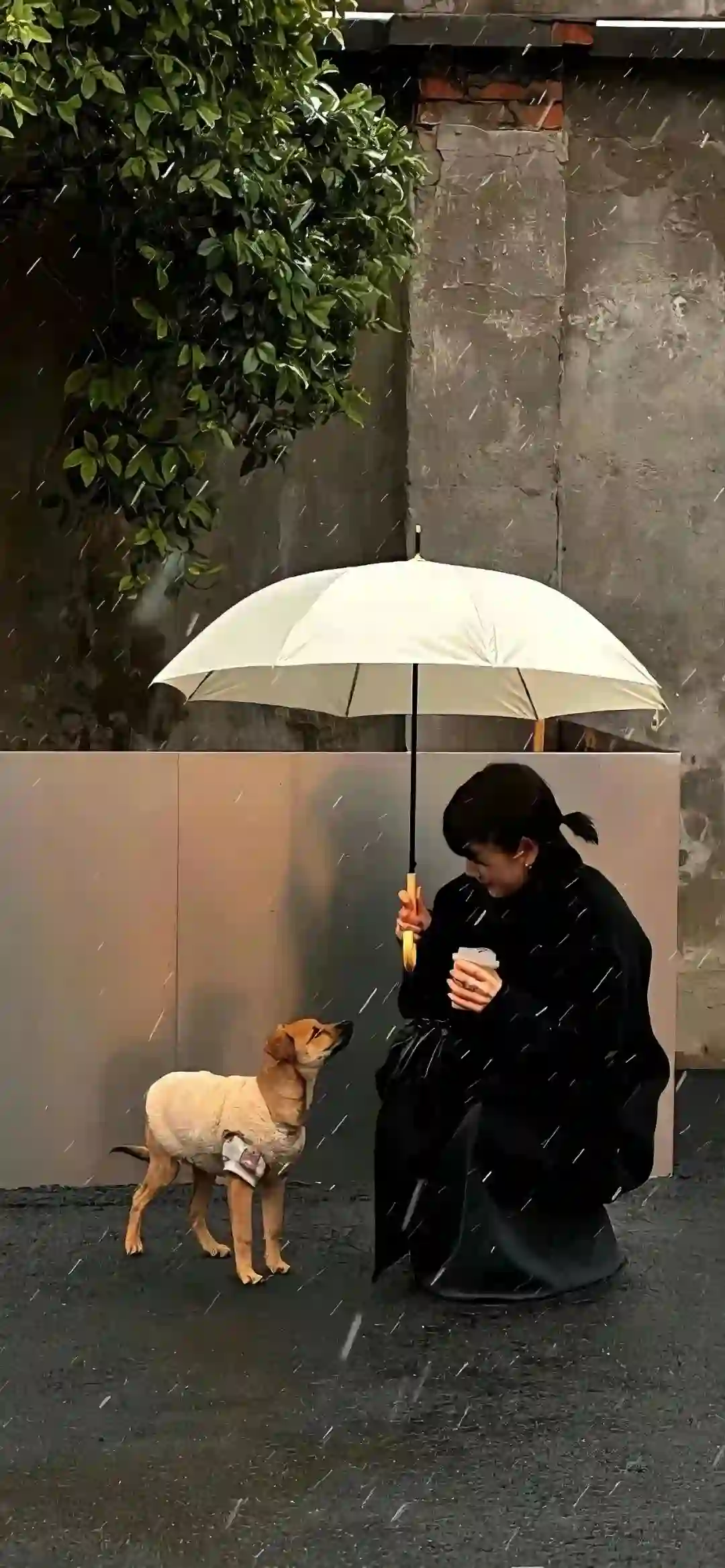 壁纸 | 手机全屏壁纸
