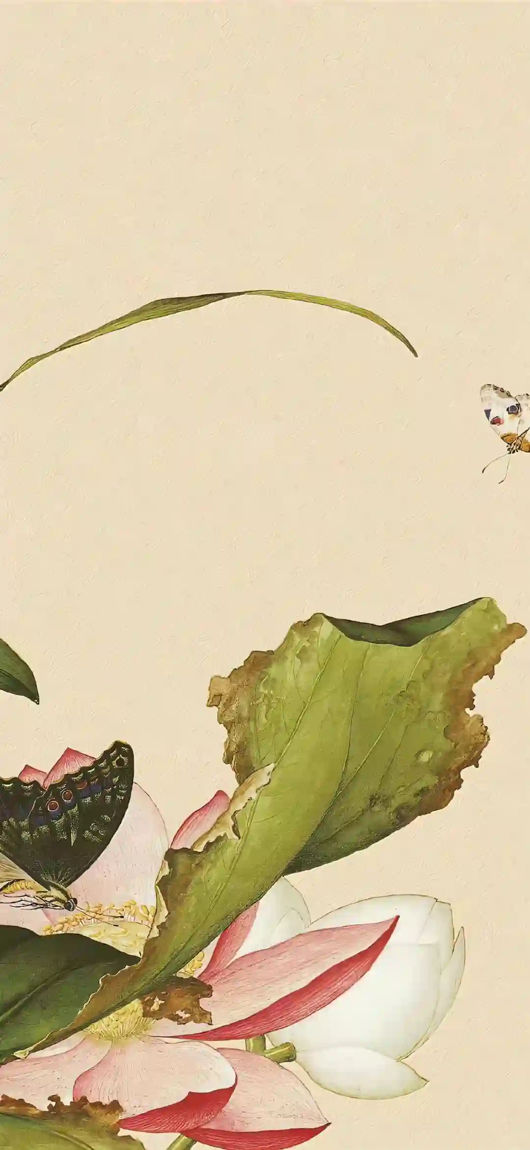 壁纸 | 1％电量都要换的壁纸