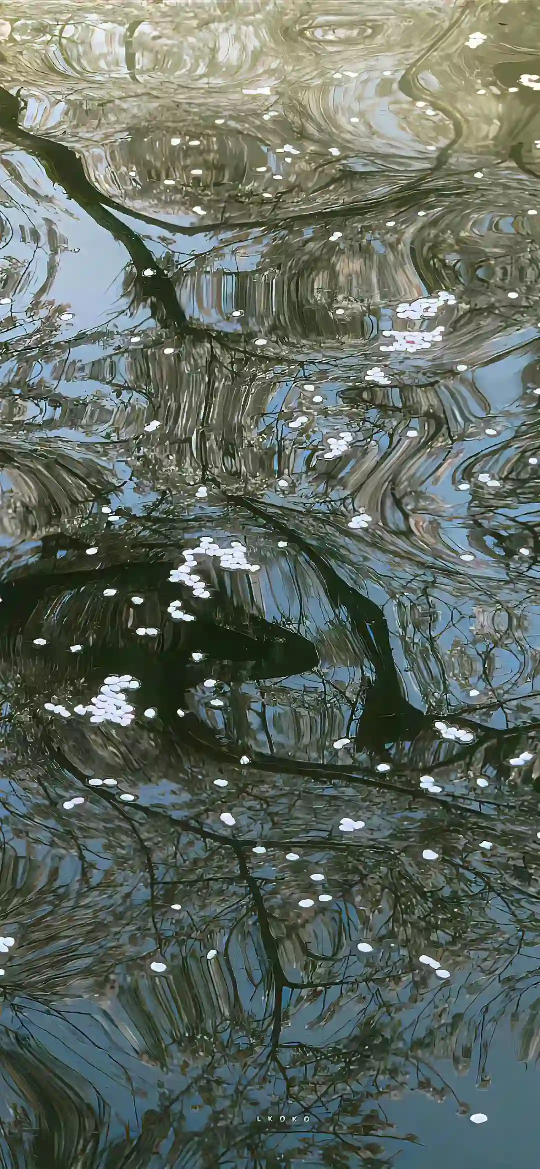 壁纸 | 1％电量都要换的壁纸