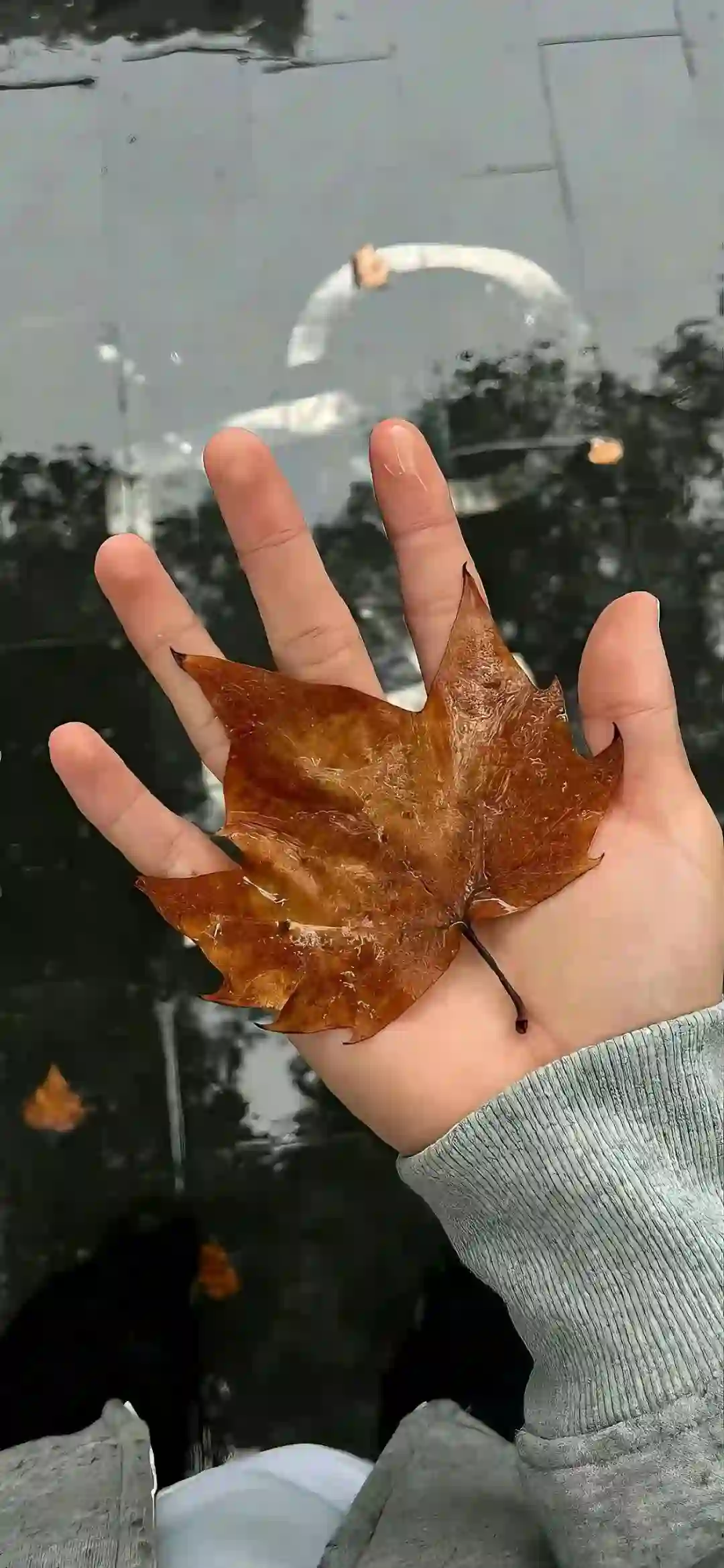 壁纸 | 1％电量都要换的壁纸