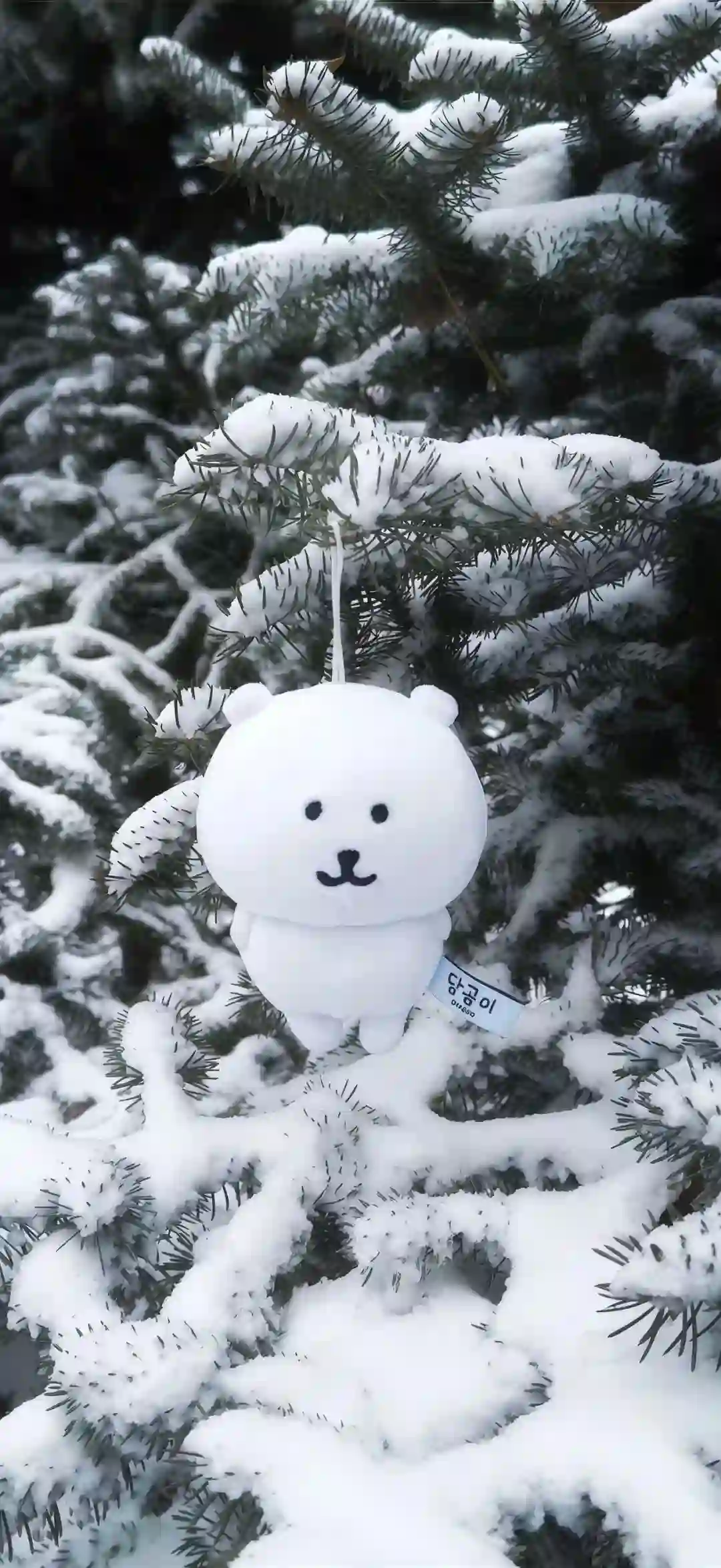 壁纸 | 𝗶𝗻𝘀冬日圣诞氛围感壁纸