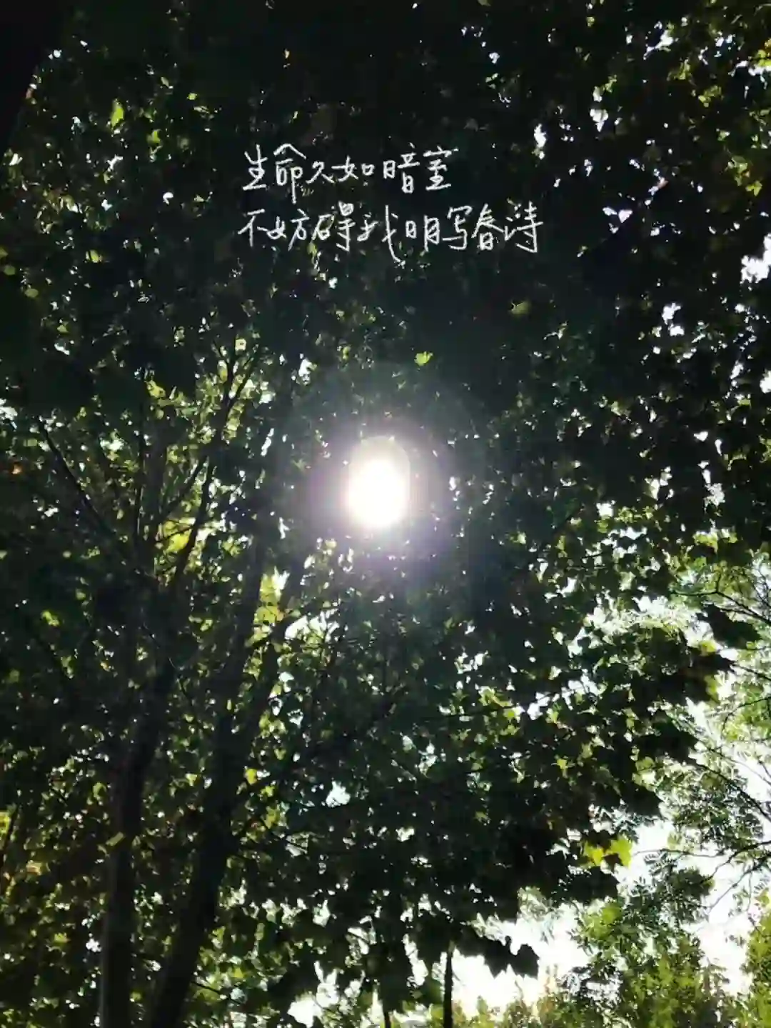背景图 | 有趣的文字背景图
