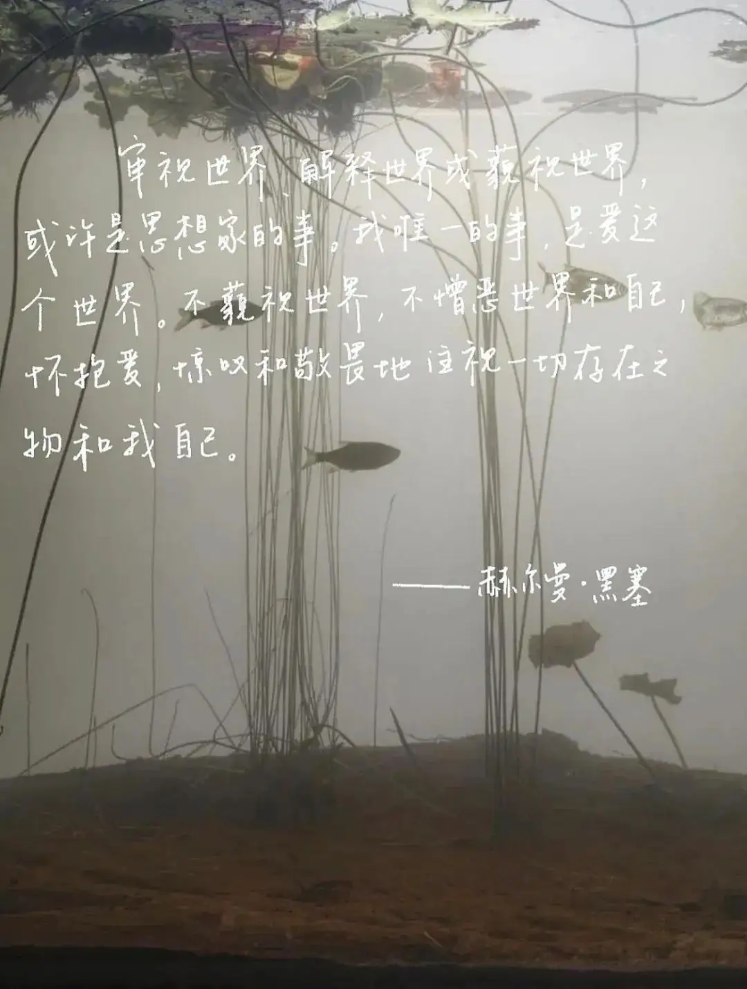 背景图 | 有趣的文字背景图