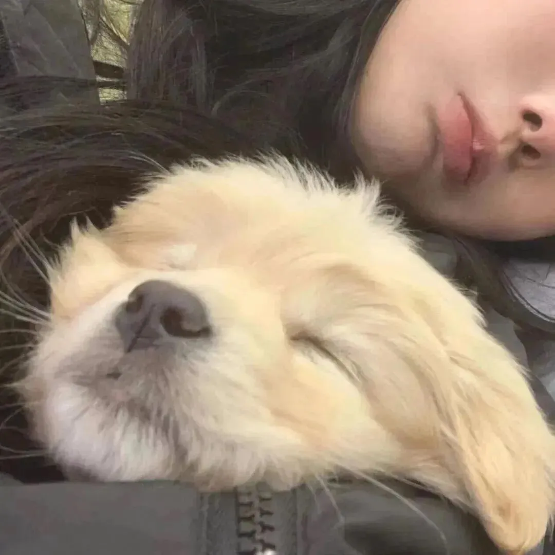 头像｜毫无关系的情头