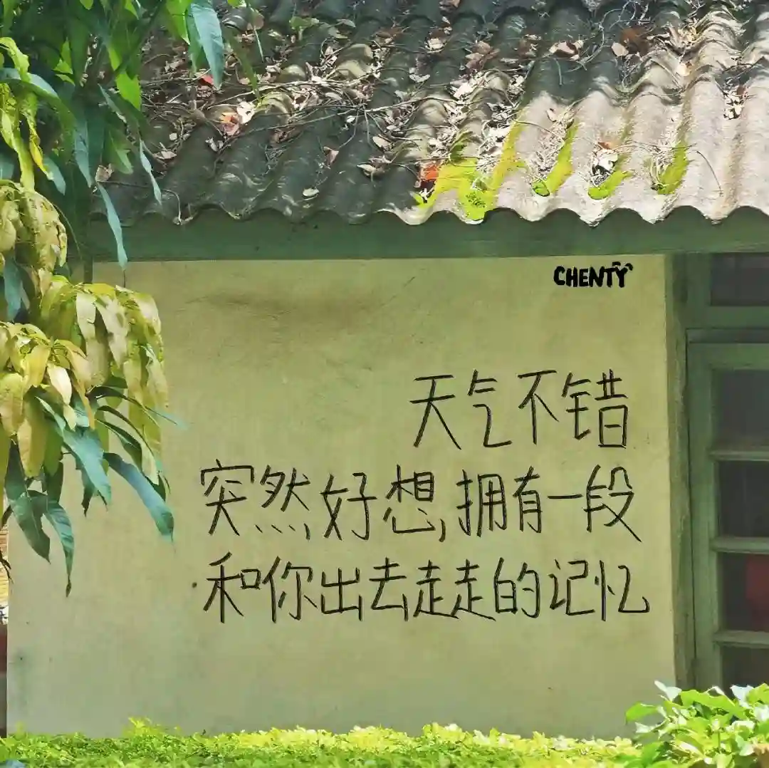 头像 | 头像+背景图套图