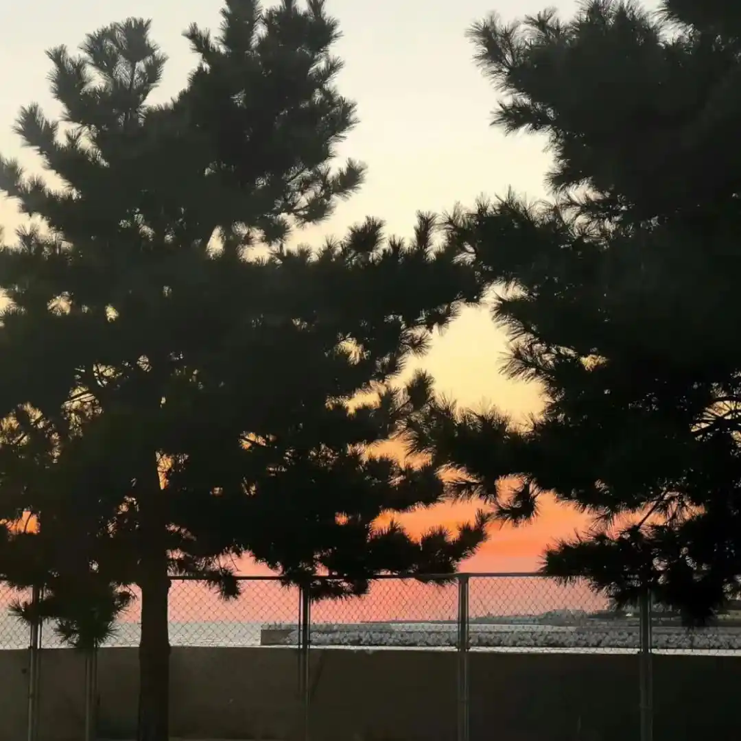 背景图 | 朋友圈背景图