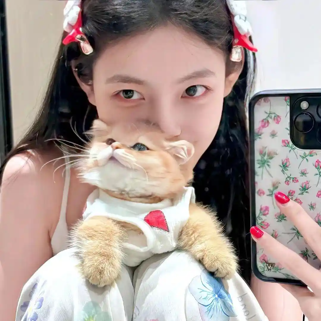 头像｜很难被发现的绝美情头