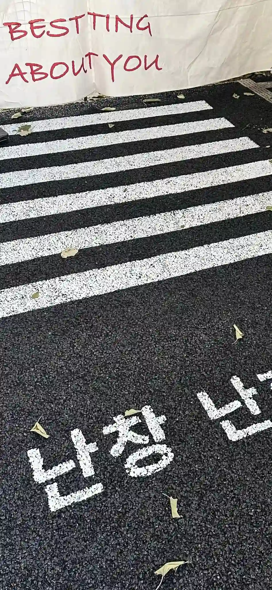壁纸 | 来换下手机壁纸吧