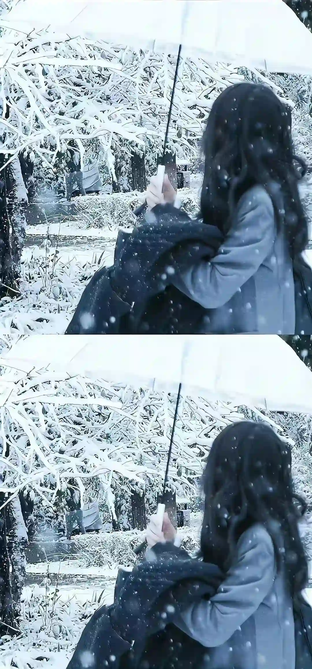 壁纸 | 是好看的壁纸来啦