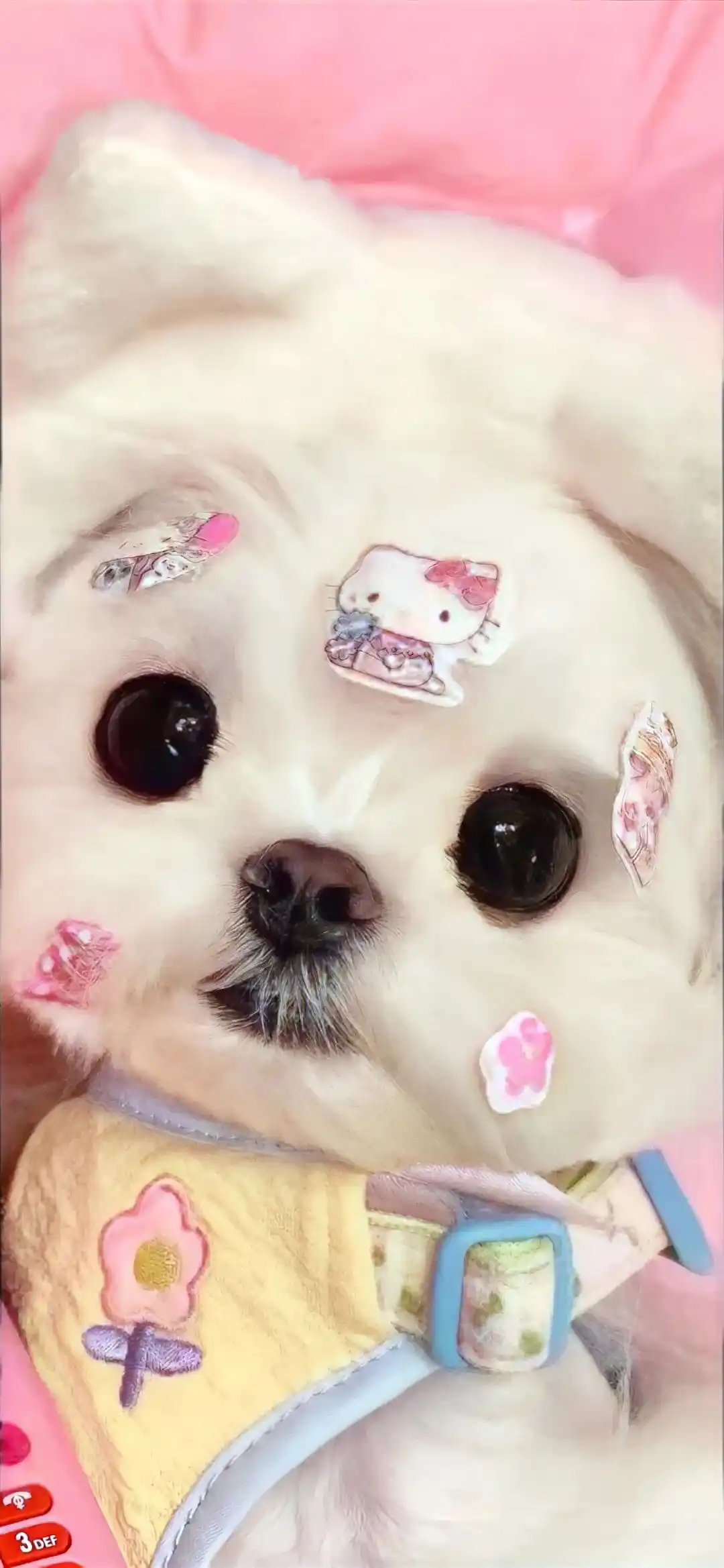 壁纸 | 是好看的壁纸来啦