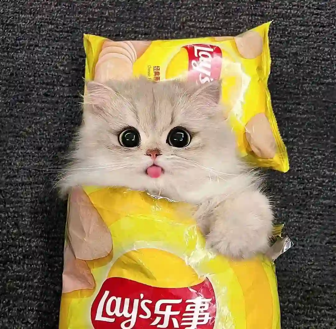 头像｜好喜欢这组提升能量磁场的头像！