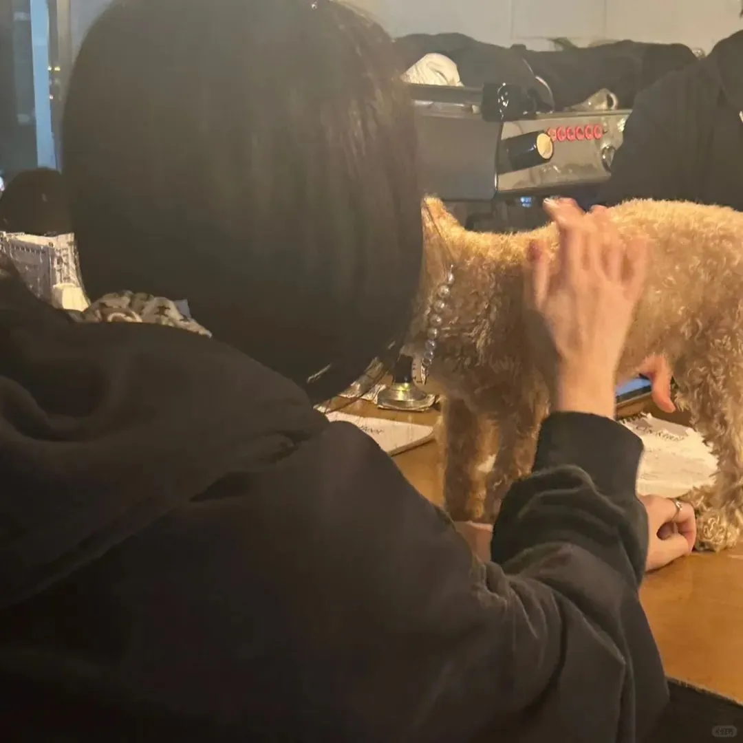 头像｜一看就很有品位的头像
