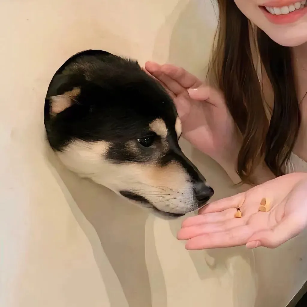 头像｜宝宝!!!一起换情头