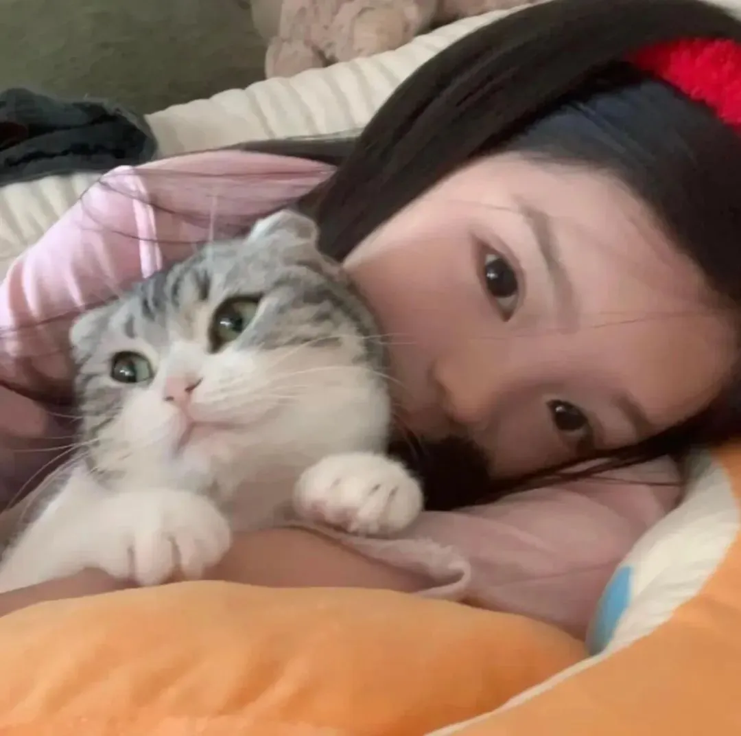 头像｜换不完的𝙒𝙚𝘾𝙝𝙖𝙩头像
