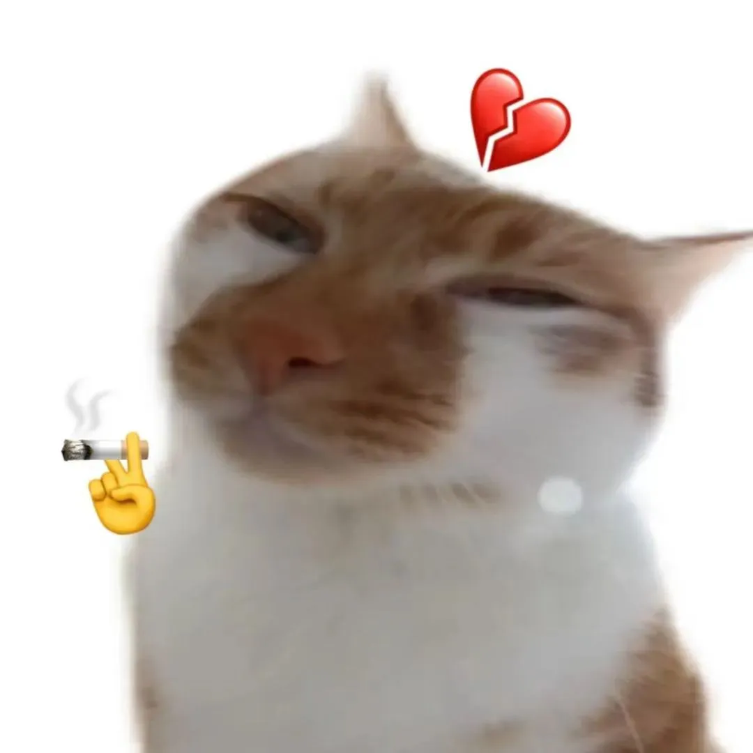 头像｜𝙒𝙚𝘾𝙝𝙖𝙩永久不换的头像 ​​​