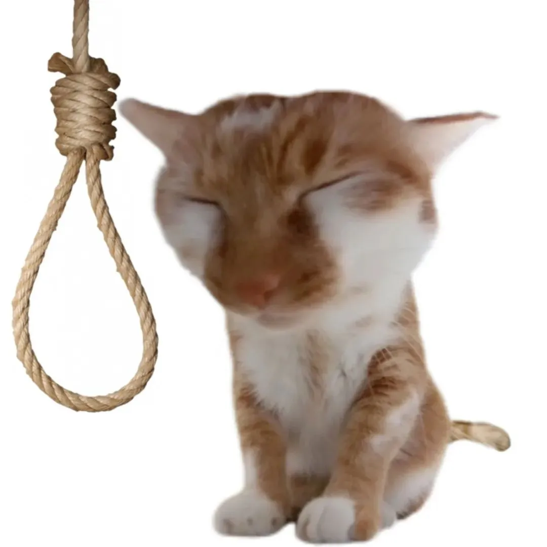 头像｜𝙒𝙚𝘾𝙝𝙖𝙩永久不换的头像 ​​​
